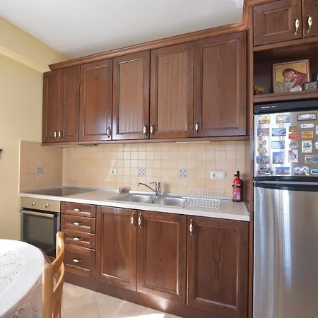 公寓 Captain's Appartments 普萨克迪亚