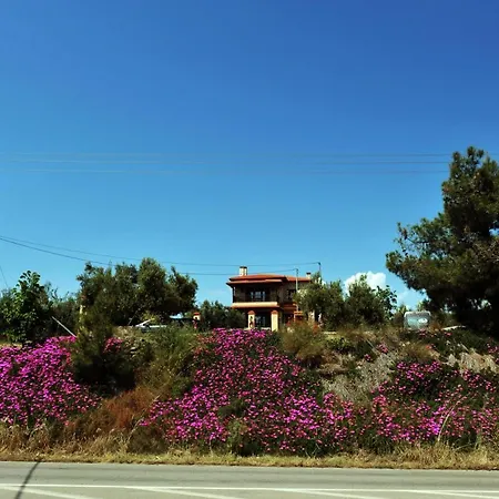 Captain's Appartments *