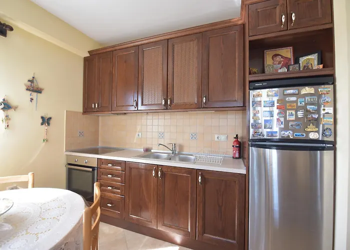 公寓 Captain's Appartments 普萨克迪亚