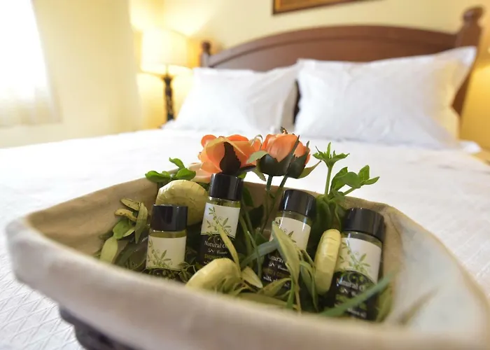 Captain's Appartments * 普萨克迪亚