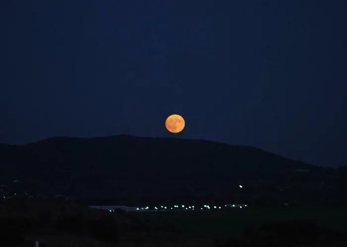 Captain's Appartments 公寓 普萨克迪亚