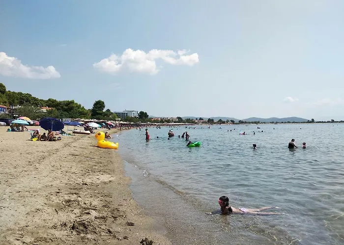 公寓 Captain's Appartments 普萨克迪亚