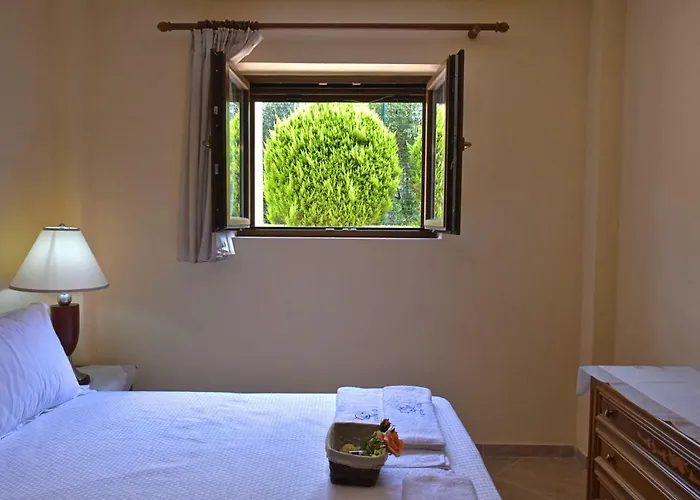 公寓 Captain's Appartments 普萨克迪亚