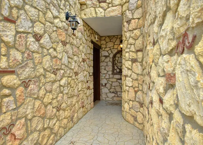 公寓 Captain's Appartments 普萨克迪亚