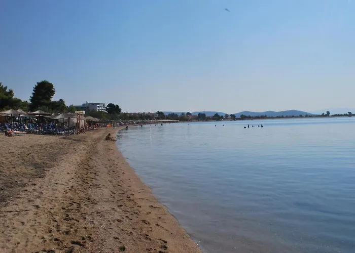 Captain's Appartments 公寓 *