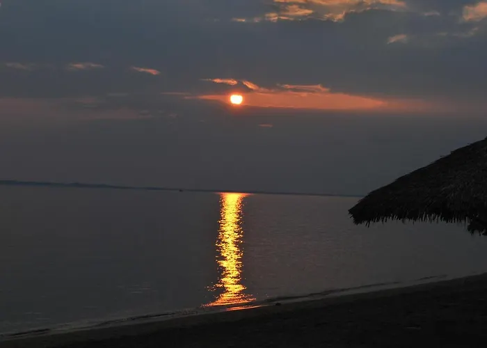 公寓 Captain's Appartments 普萨克迪亚