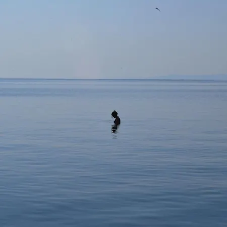 Captain's Appartments شقة بساكوذيا